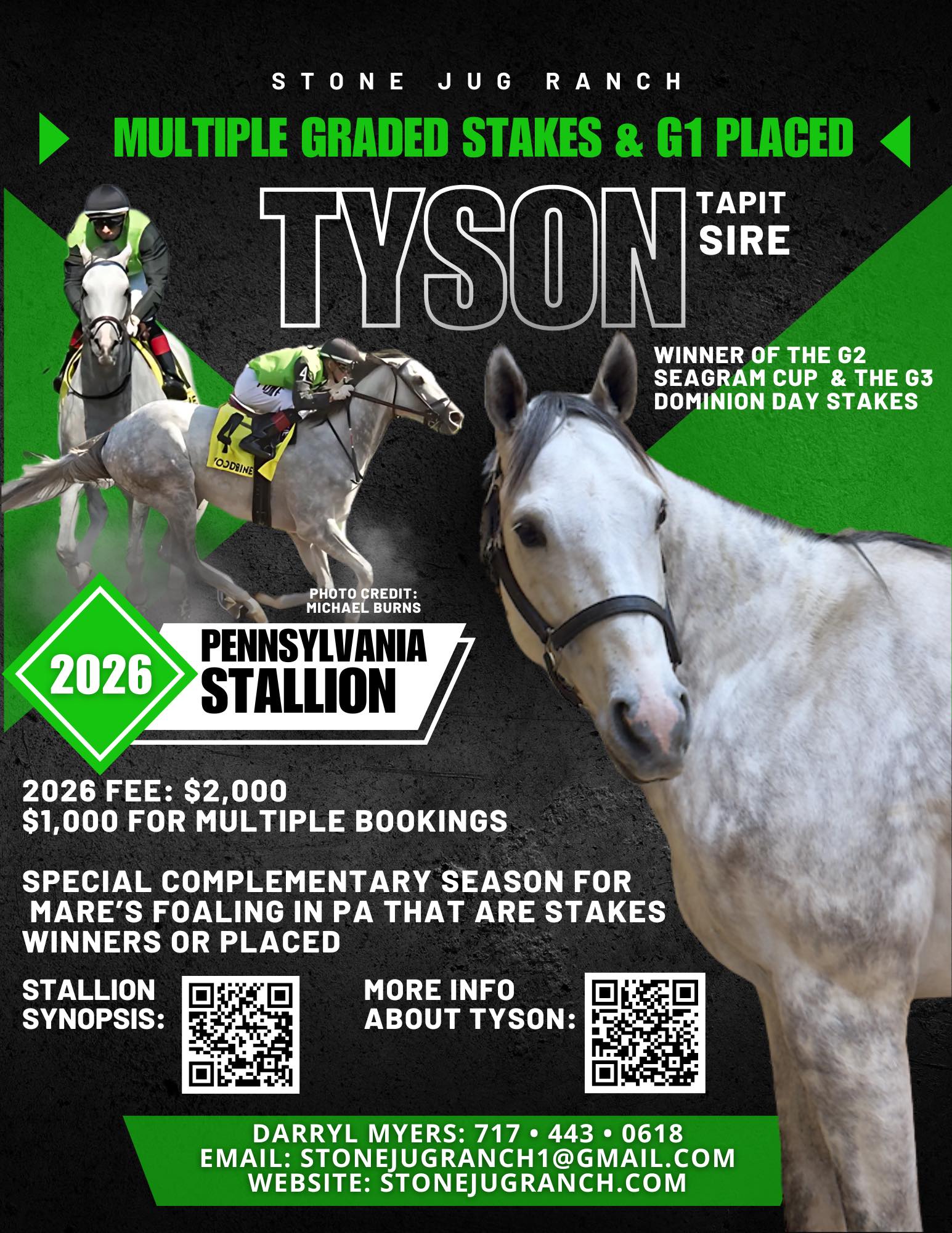 PA Stallions | Kennett Square PA