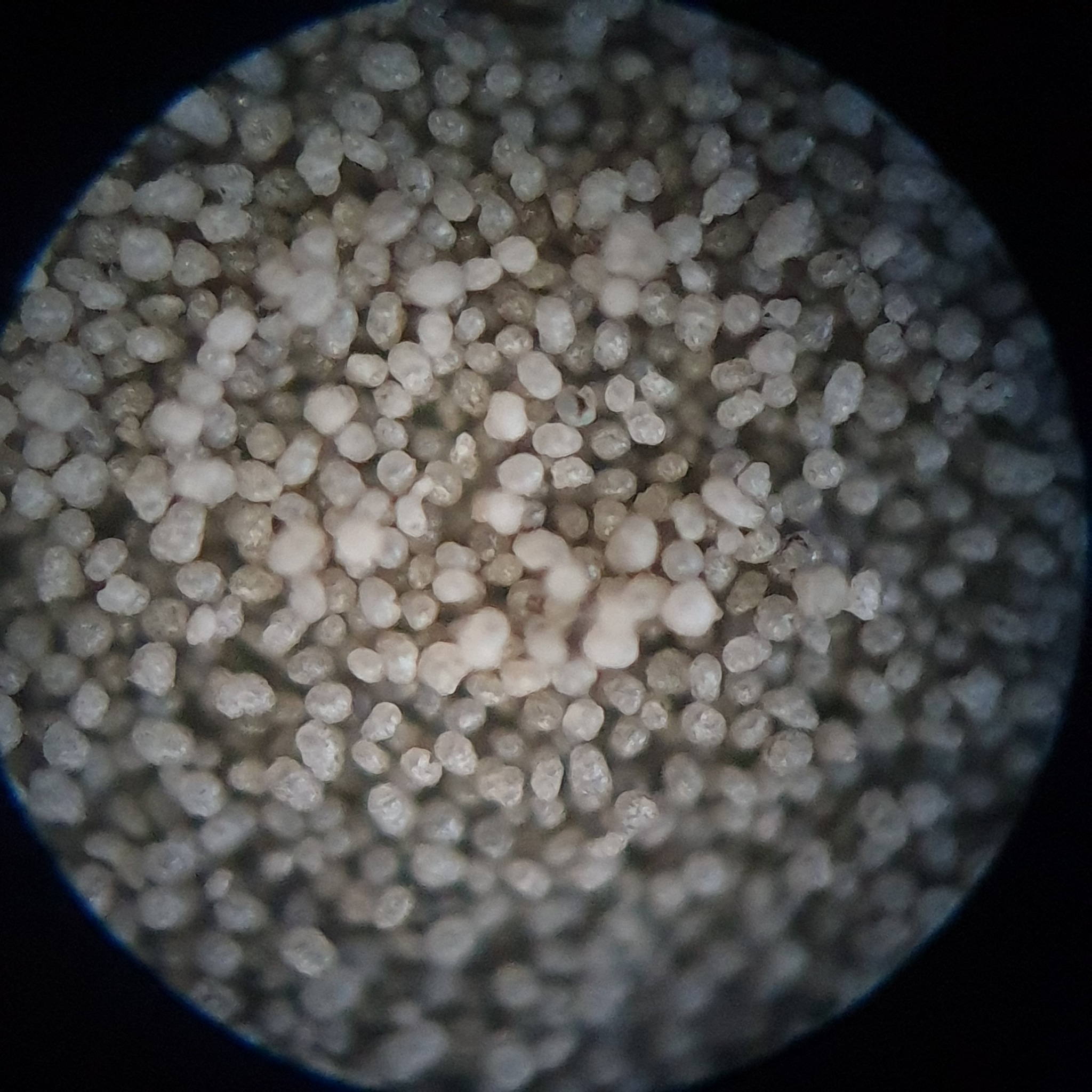 SLS4All - 🔬 What does innovation look like under the microscope? This ...