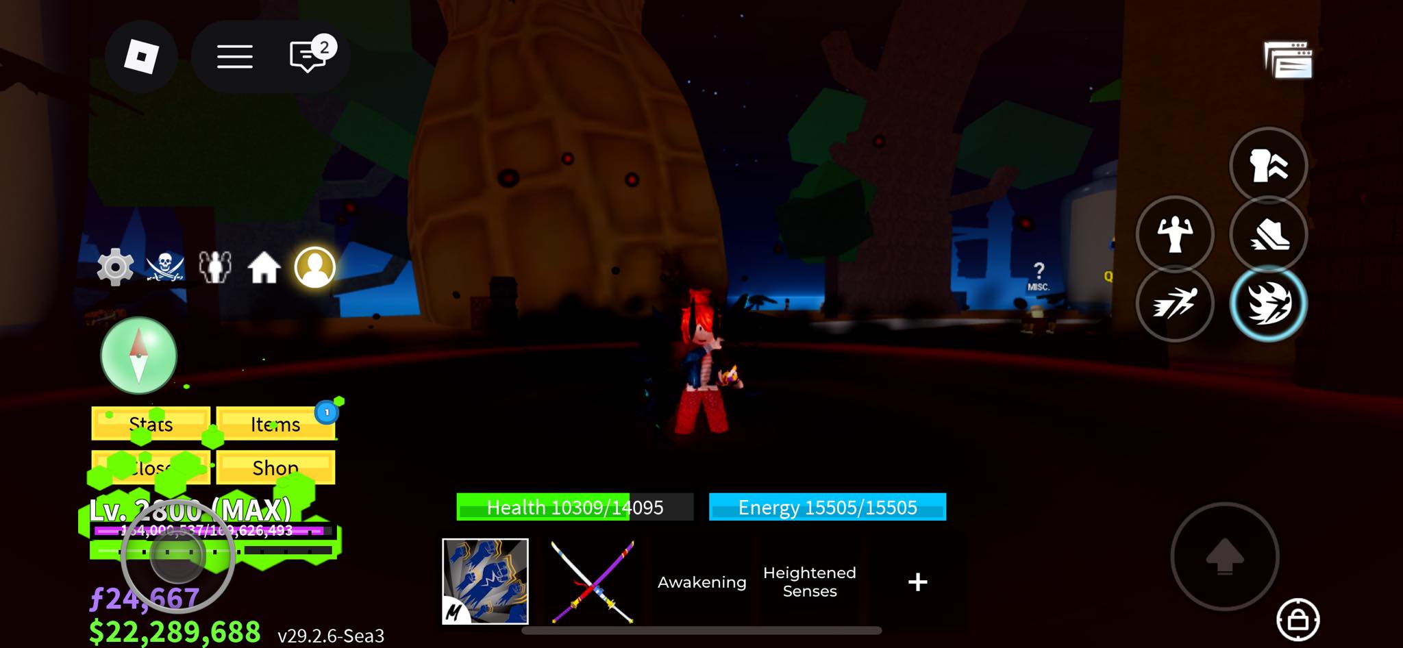 ⭐️専用ページ⭐️ Roblox character with max level and full gear