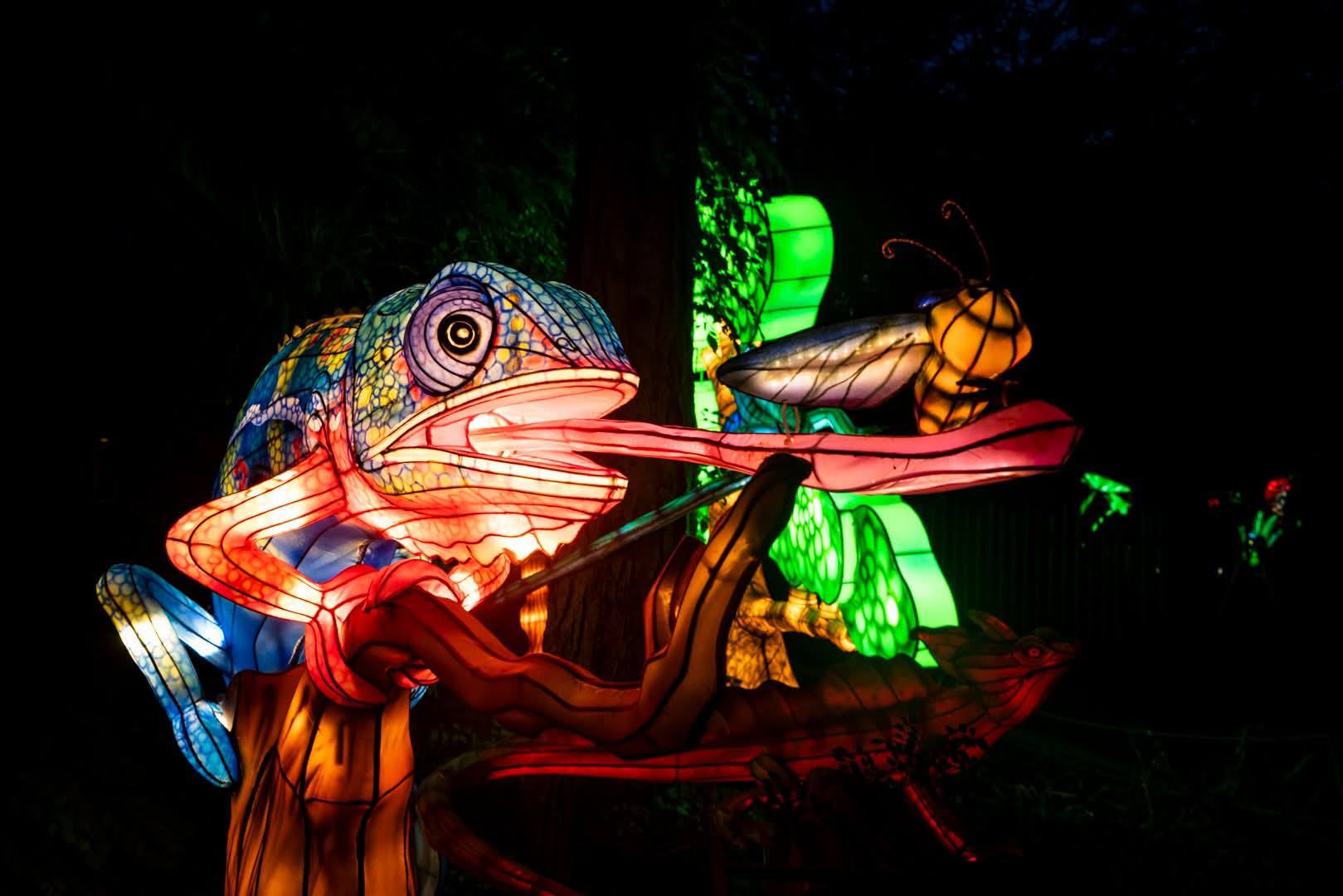 Asian Lantern Festival presented by Cleveland Clinic Children's