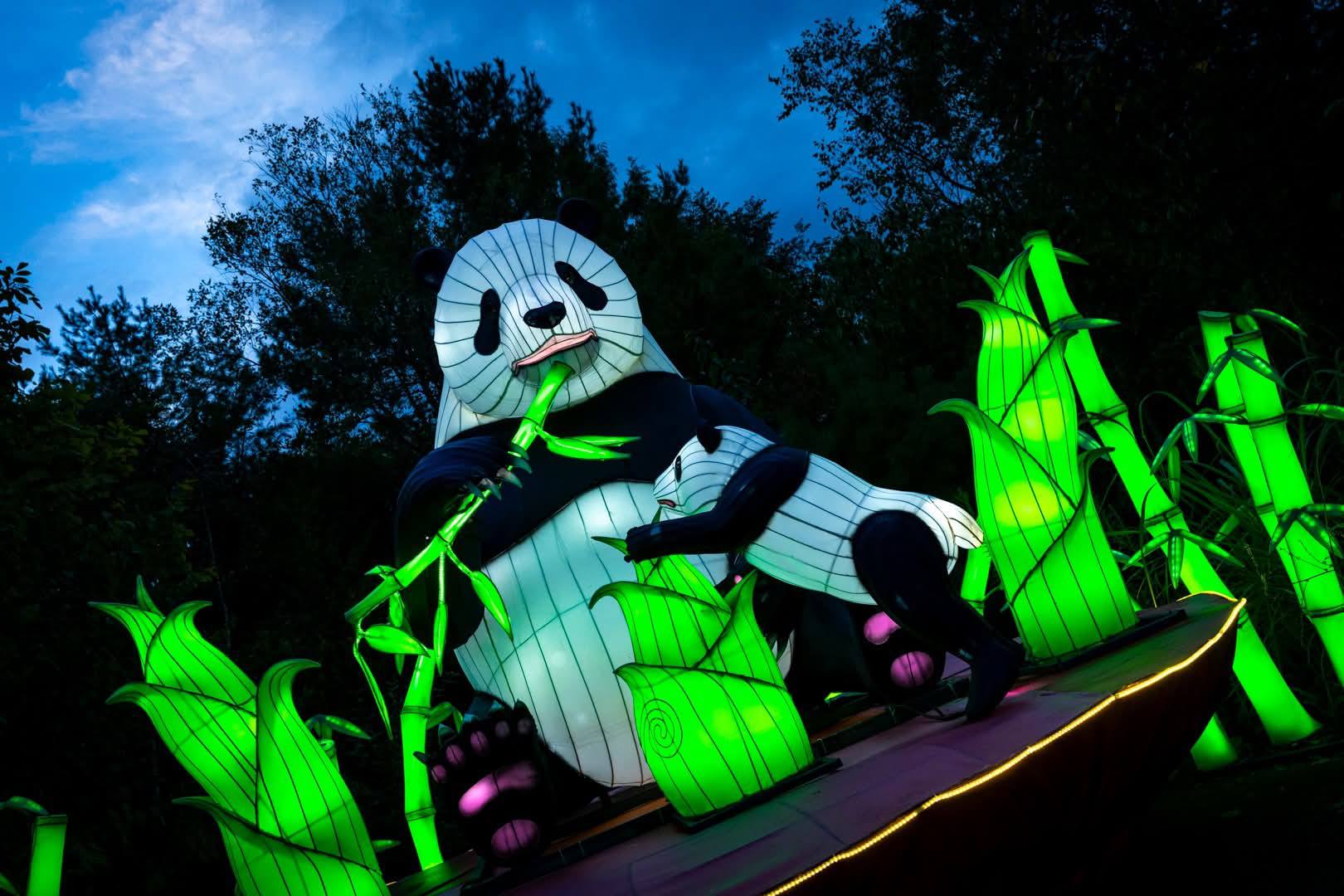 Asian Lantern Festival presented by Cleveland Clinic Children's
