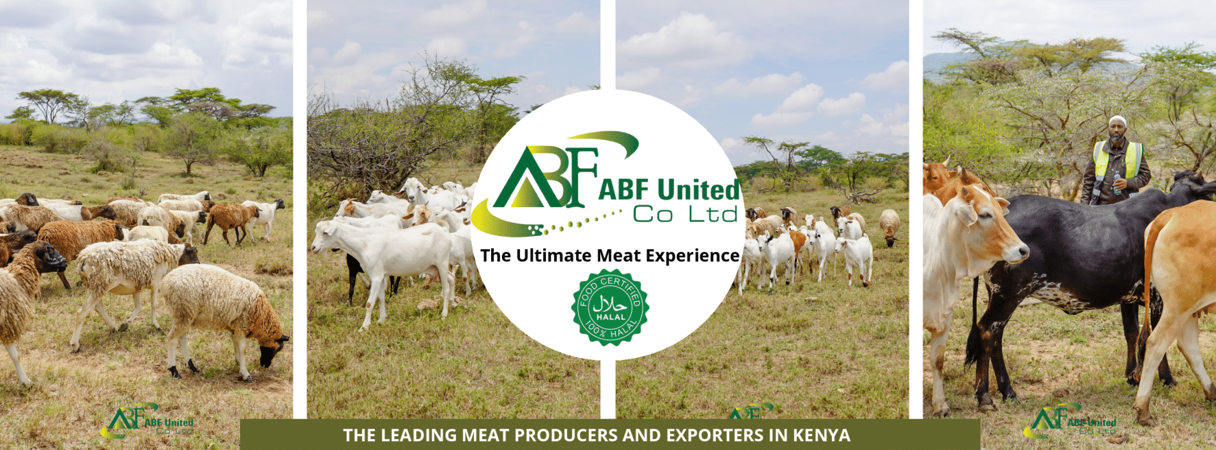 ABF United CO LTD