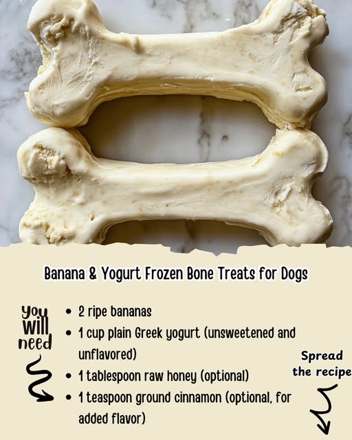 Picture of Homemade dog food recipes | Banana & Yogurt Frozen Bone Treats for Dogs ...