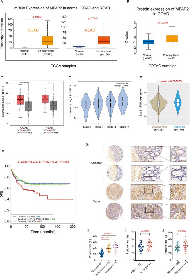 New research highlights MFAP2... - Genes & Diseases Journal | Facebook
