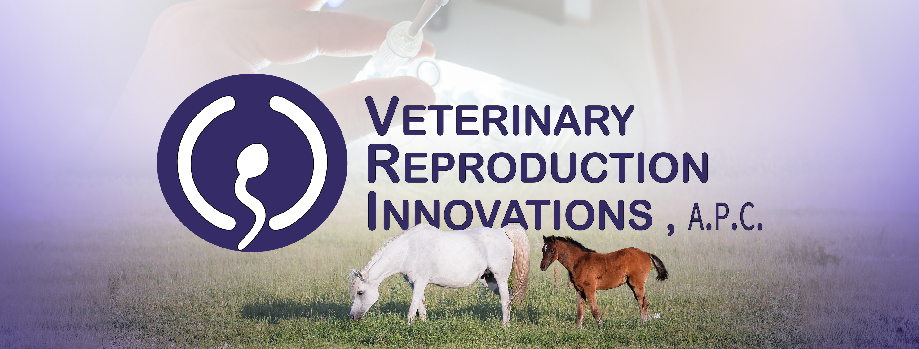Veterinary Reproduction Innovations | Arroyo Grande CA
