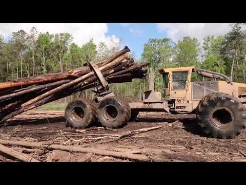 Florence - A look at logging, then and now! 🌲🕰️ From massive old-school ...