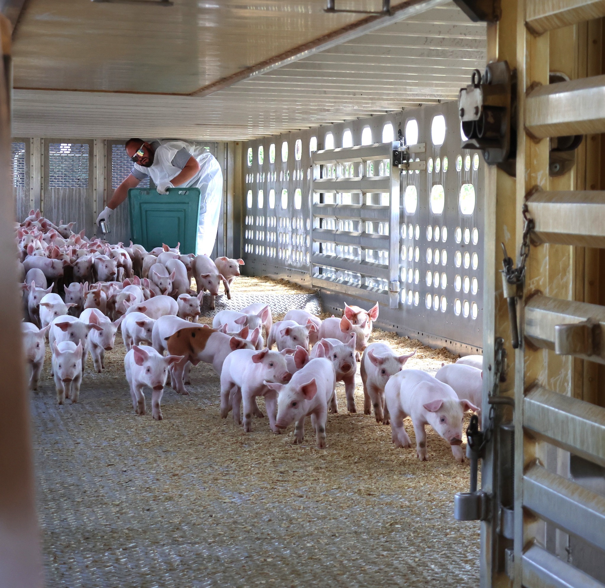 Iowa Select Farms | Iowa Falls IA