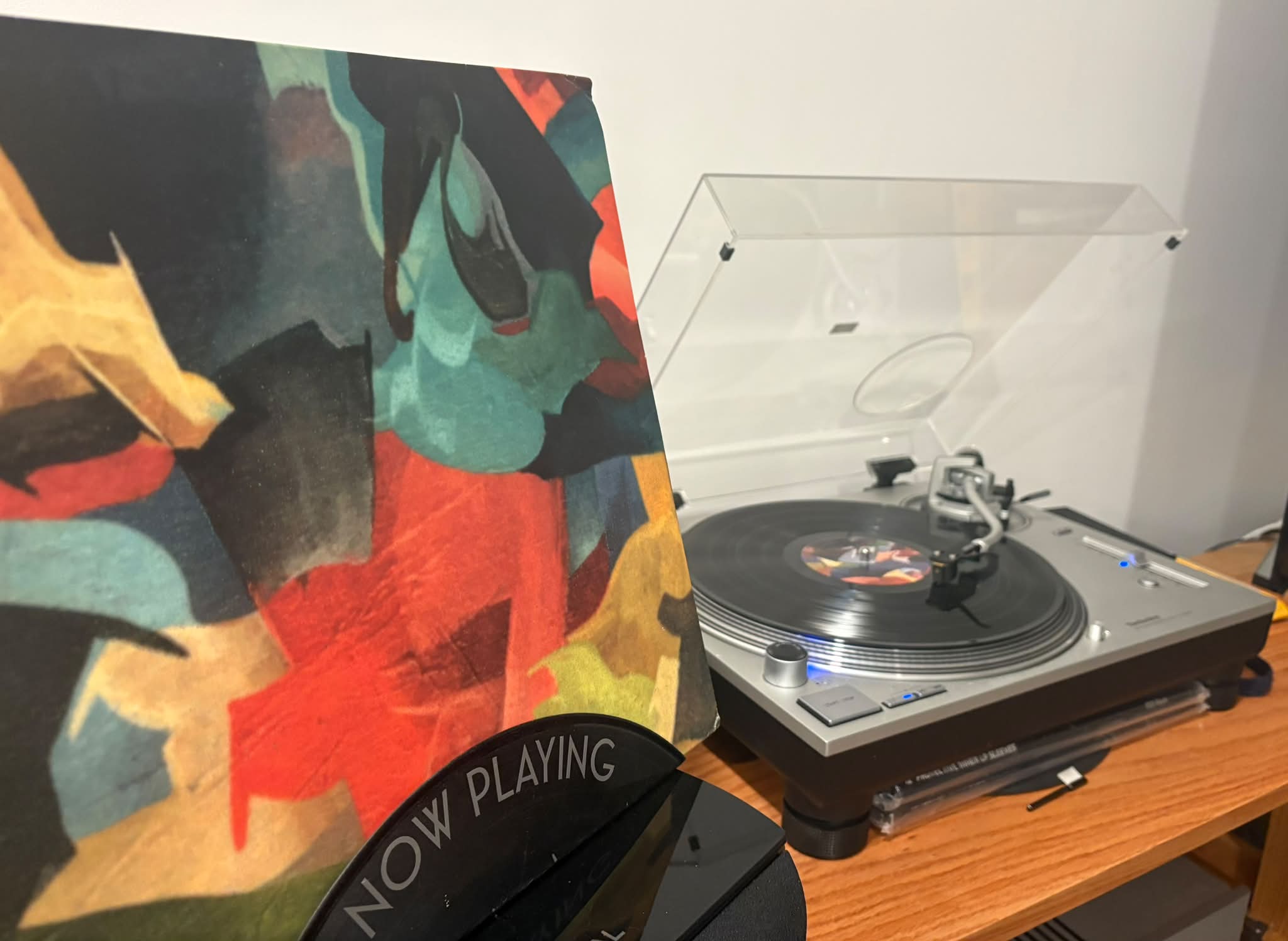 Olivia Tremor Control's Black Foliage vinyl pressing by Kevin Gray