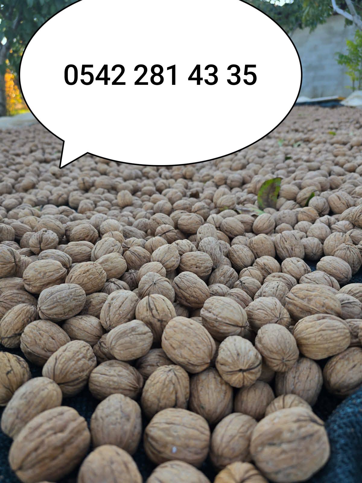 TÜRKİYEM YAŞ SEBZE MEYVE ALIM SATIM | CEP:0542 281 43 35 | Facebook