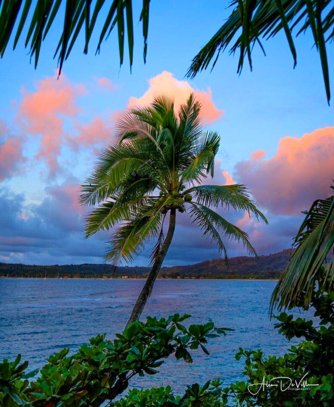 Aloha Hawaii - Hawaii: Where paradise isn't just a place,... | Facebook