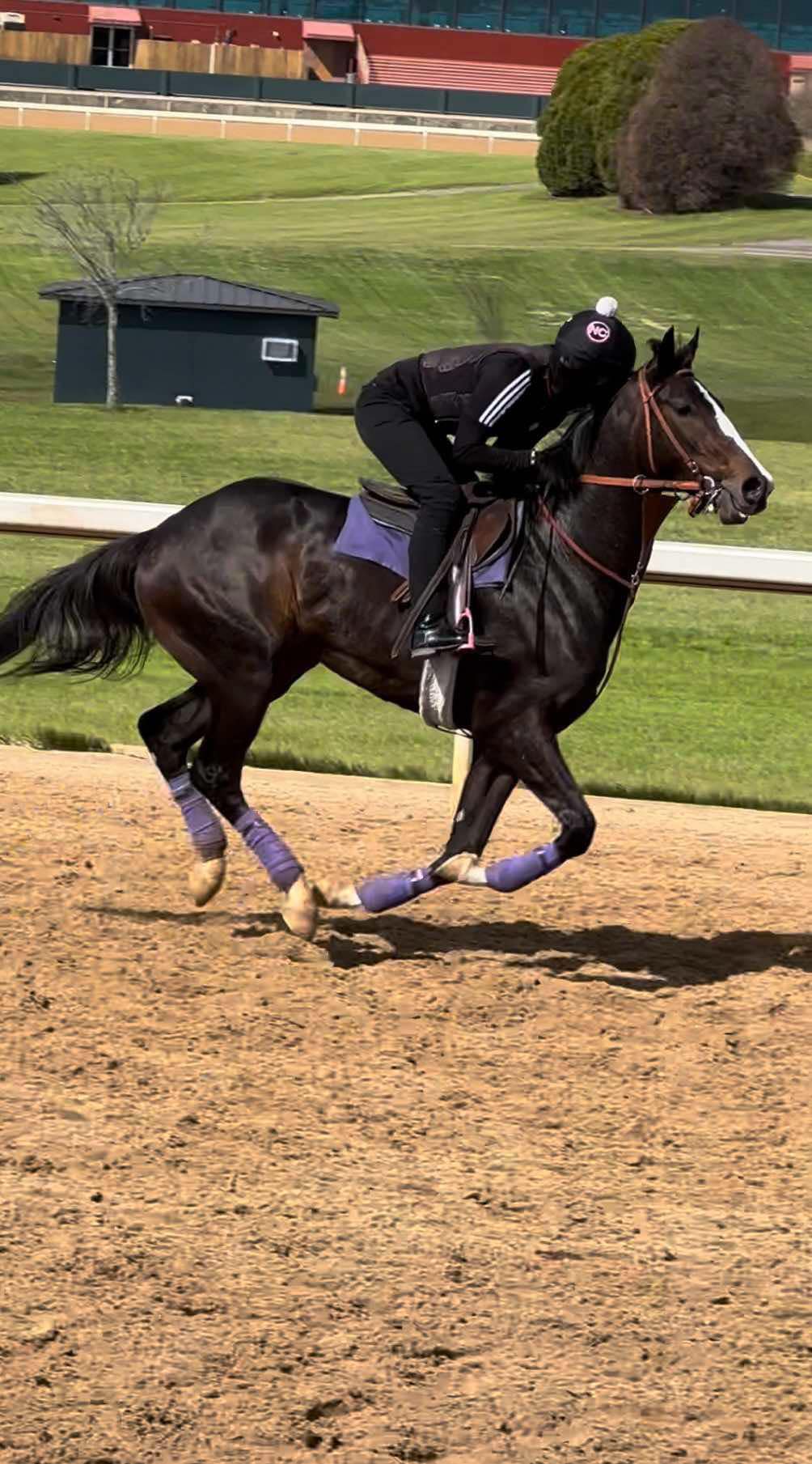 Amity and Albright Equestrian Center | Hot Springs AR