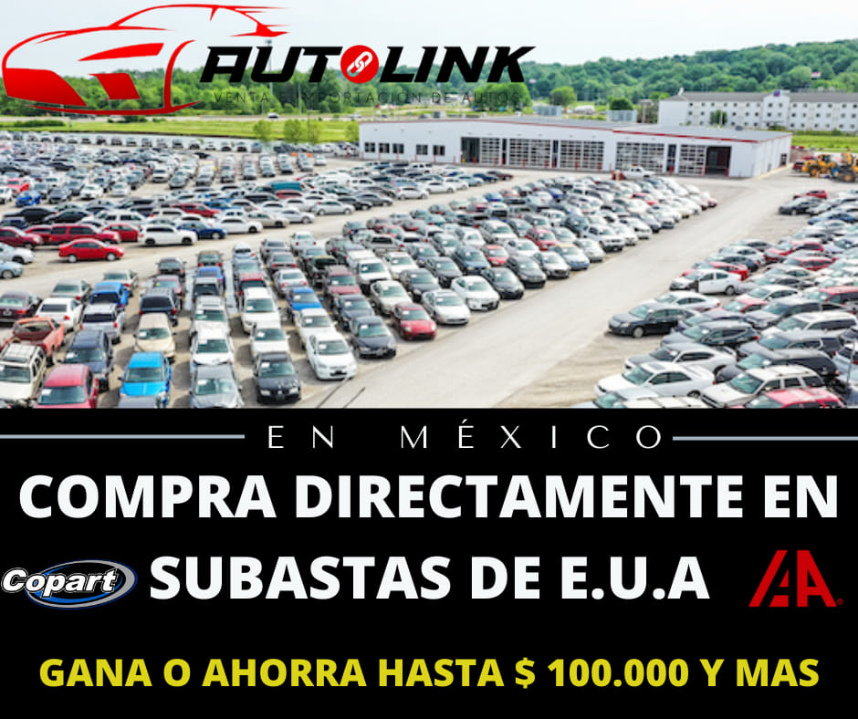 Autolink | Chihuahua