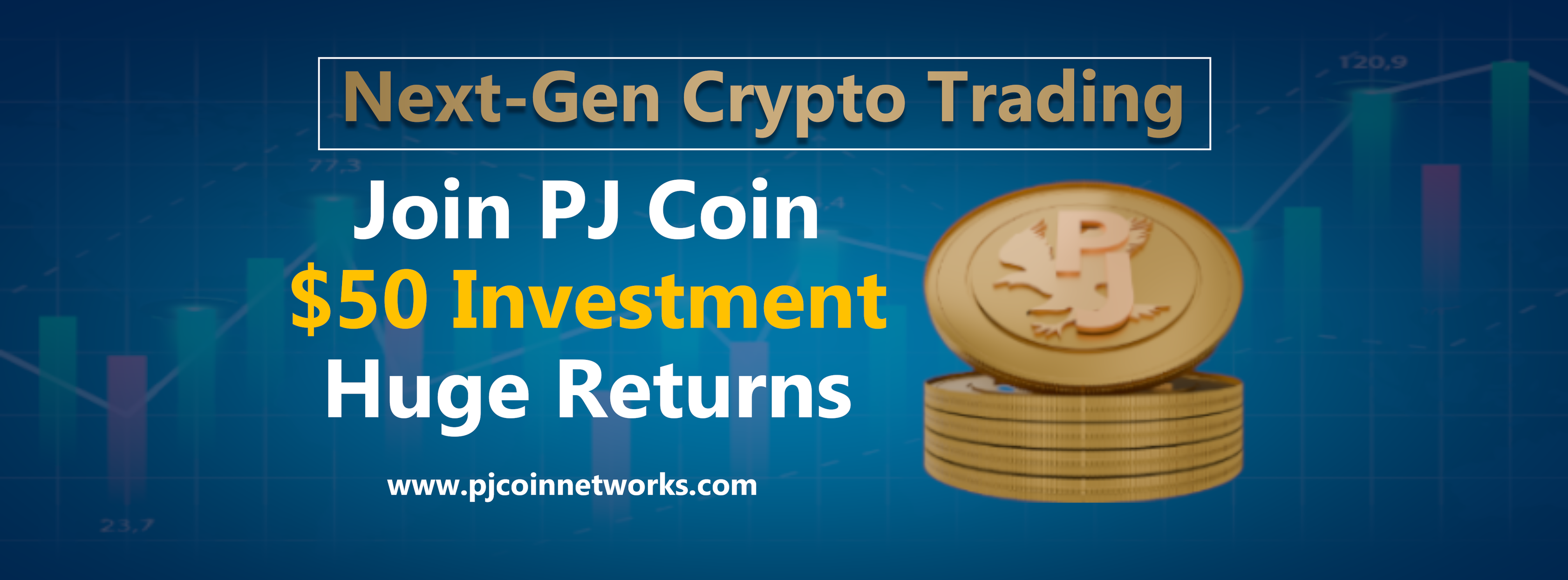 PJcoin Networks