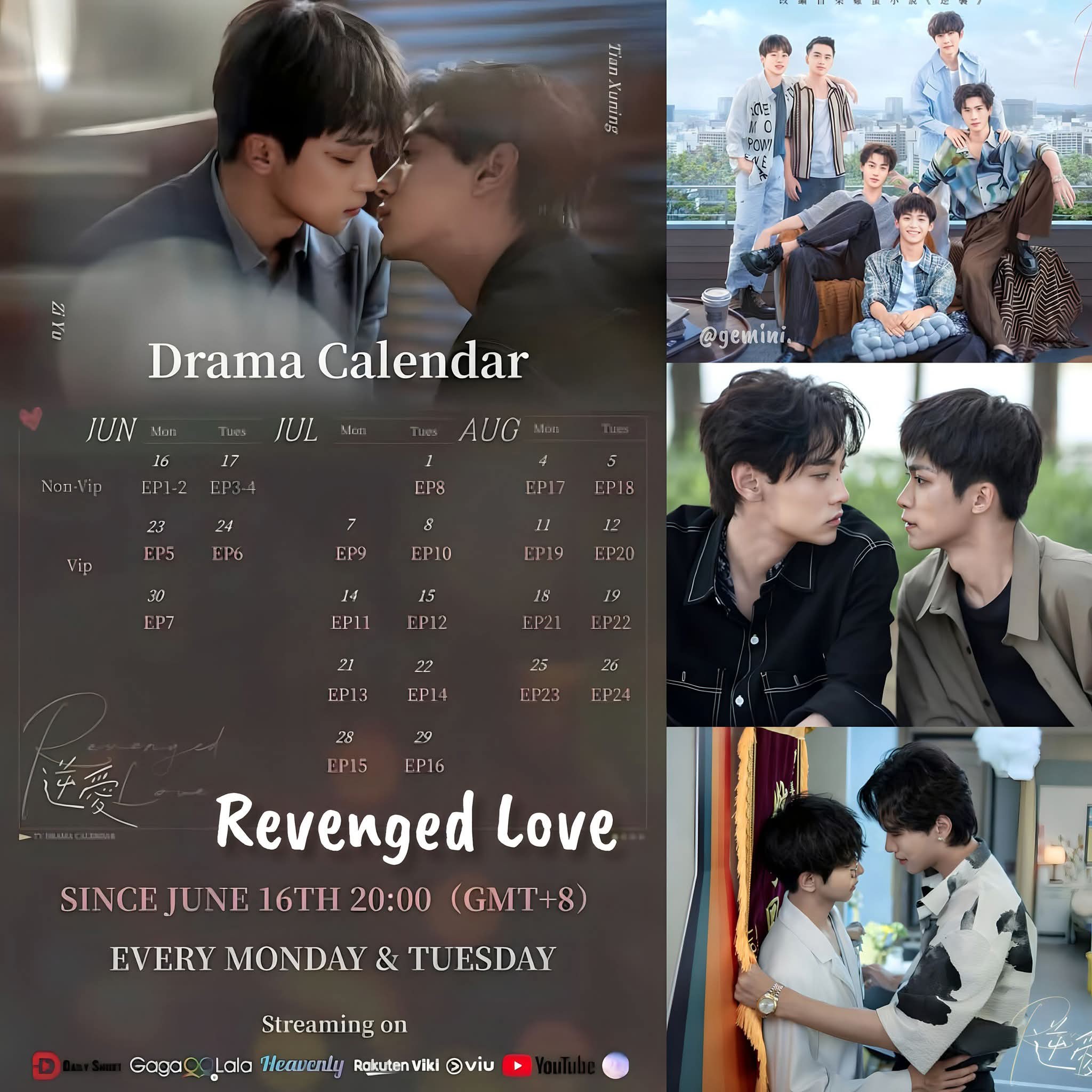 Revenged Love dvd box set release