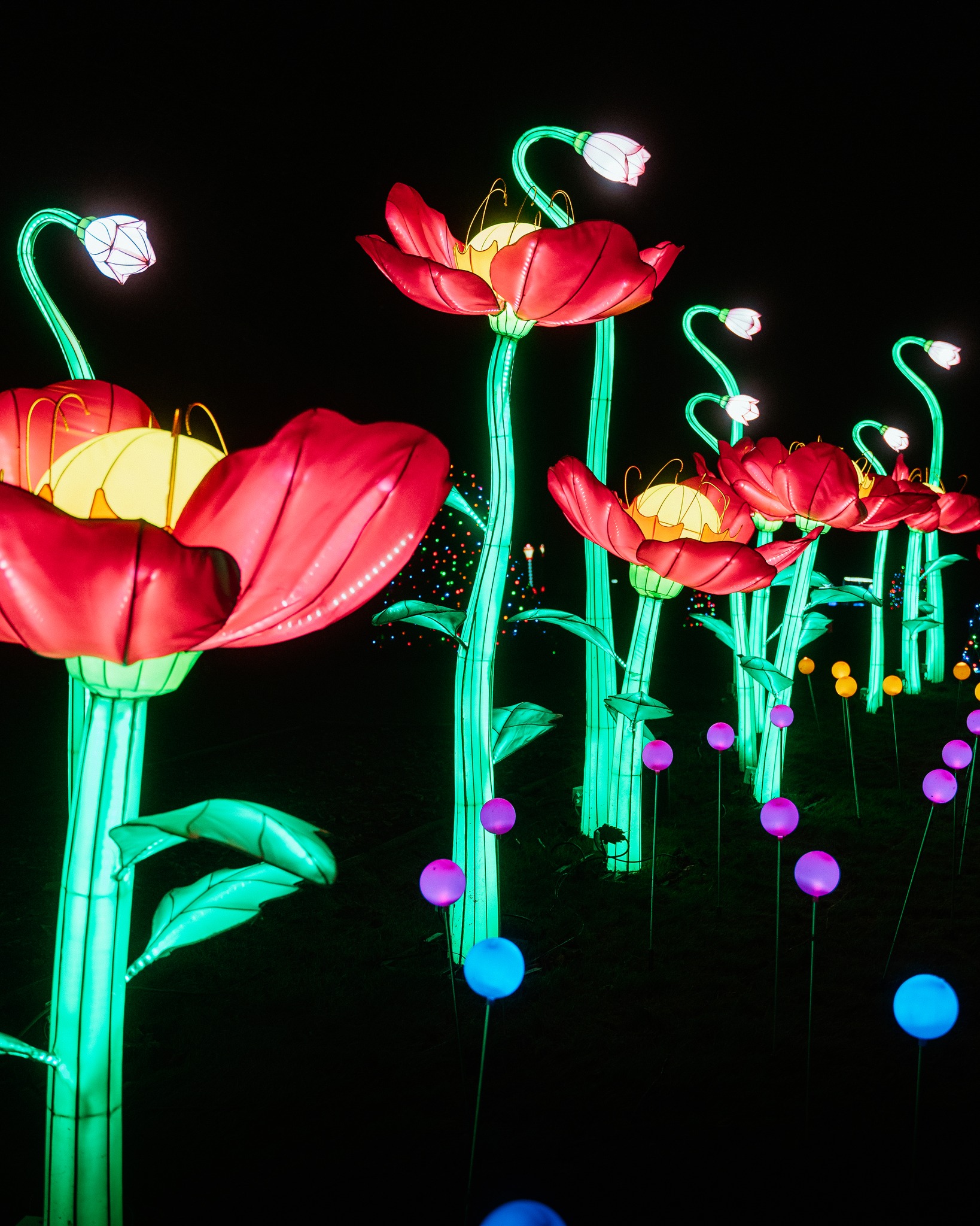 WonderLights - Visit WonderLights Brussels, the perfect winter ...