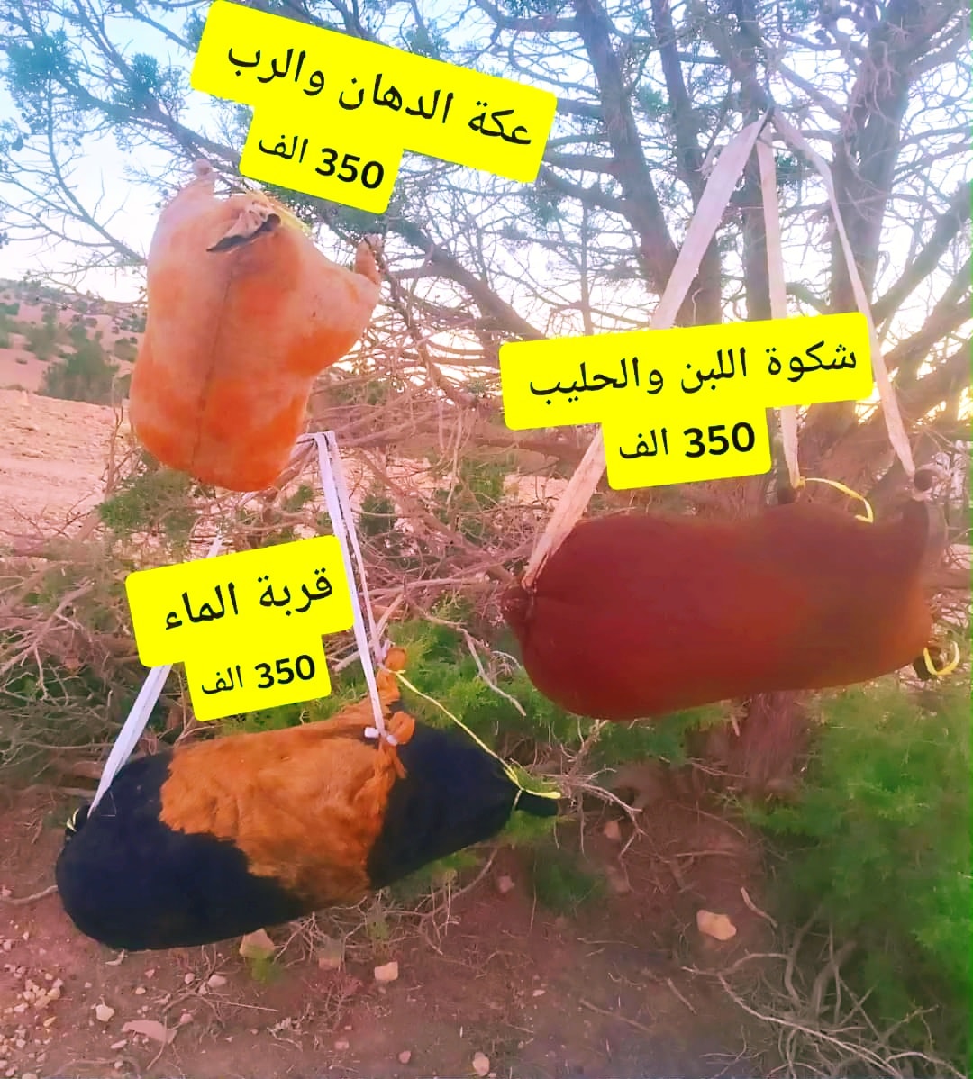 الأصالة - 💎 قربة الماء من جلد الماعز مدبوغة وجاهزة وفيها القطران مباشرة ...