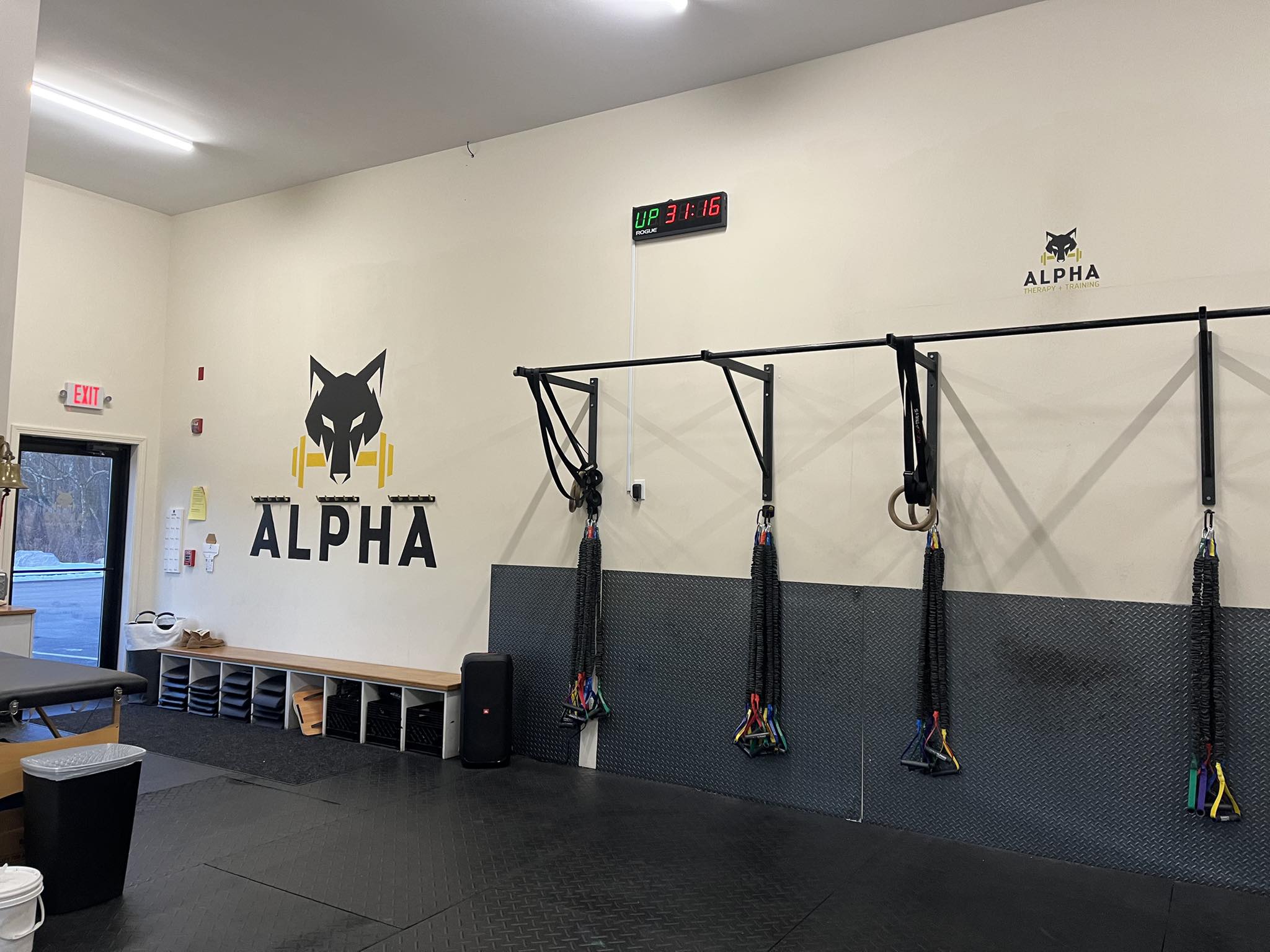 Alpha Therapy & Training