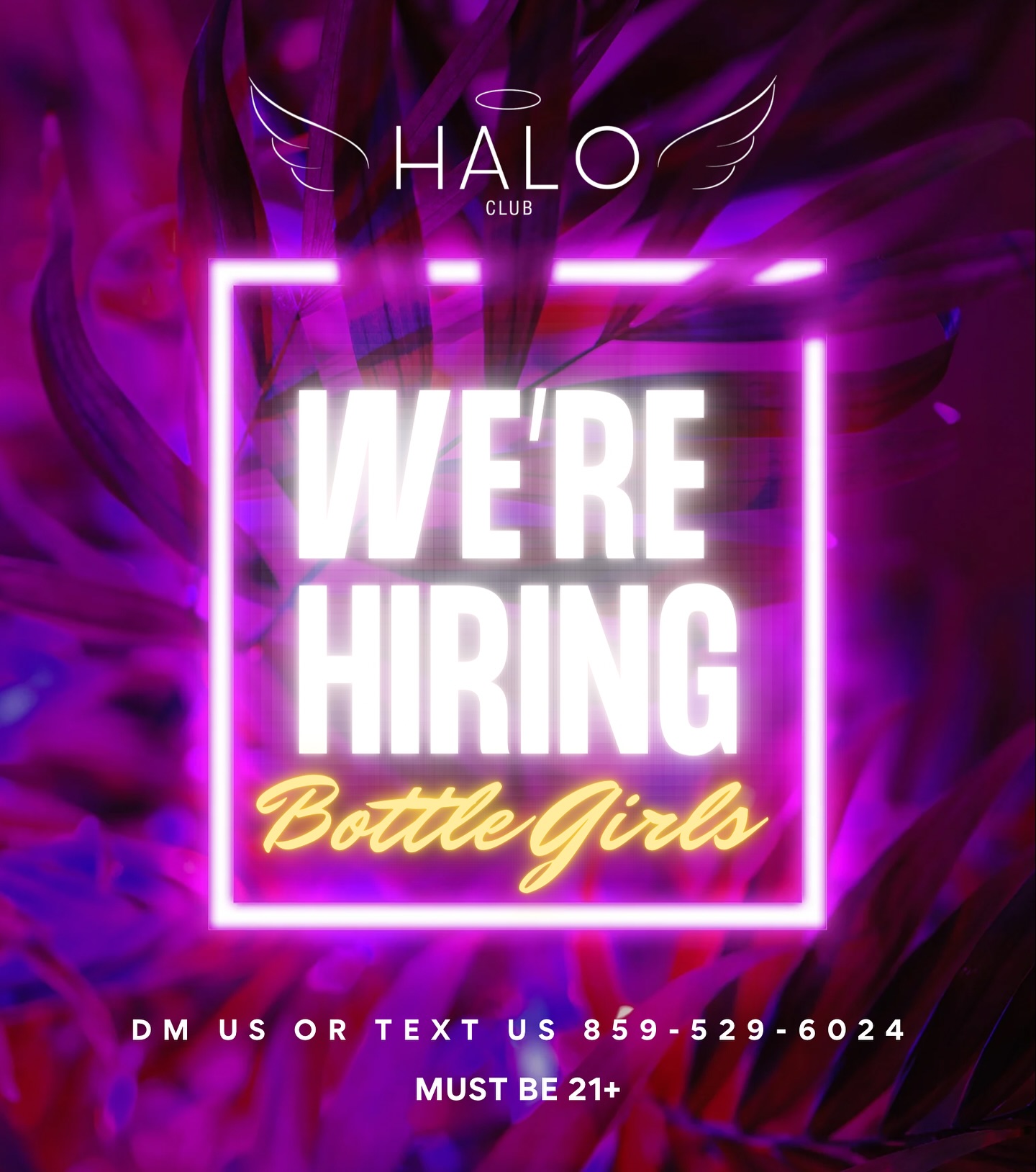 club halo fayetteville dress code vestidos para quince años