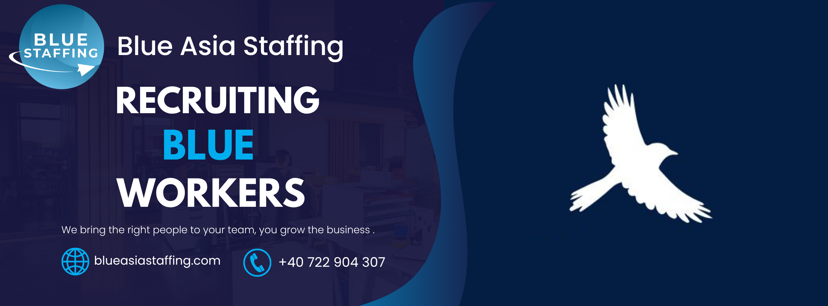 Blue Asia Staffing | Bucharest