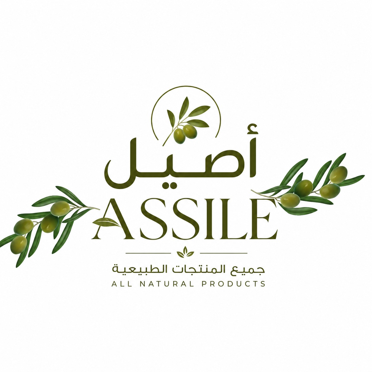 Assile - أصيل