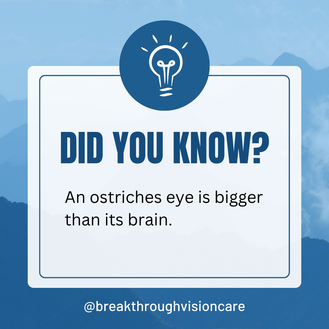 Breakthrough Vision Care