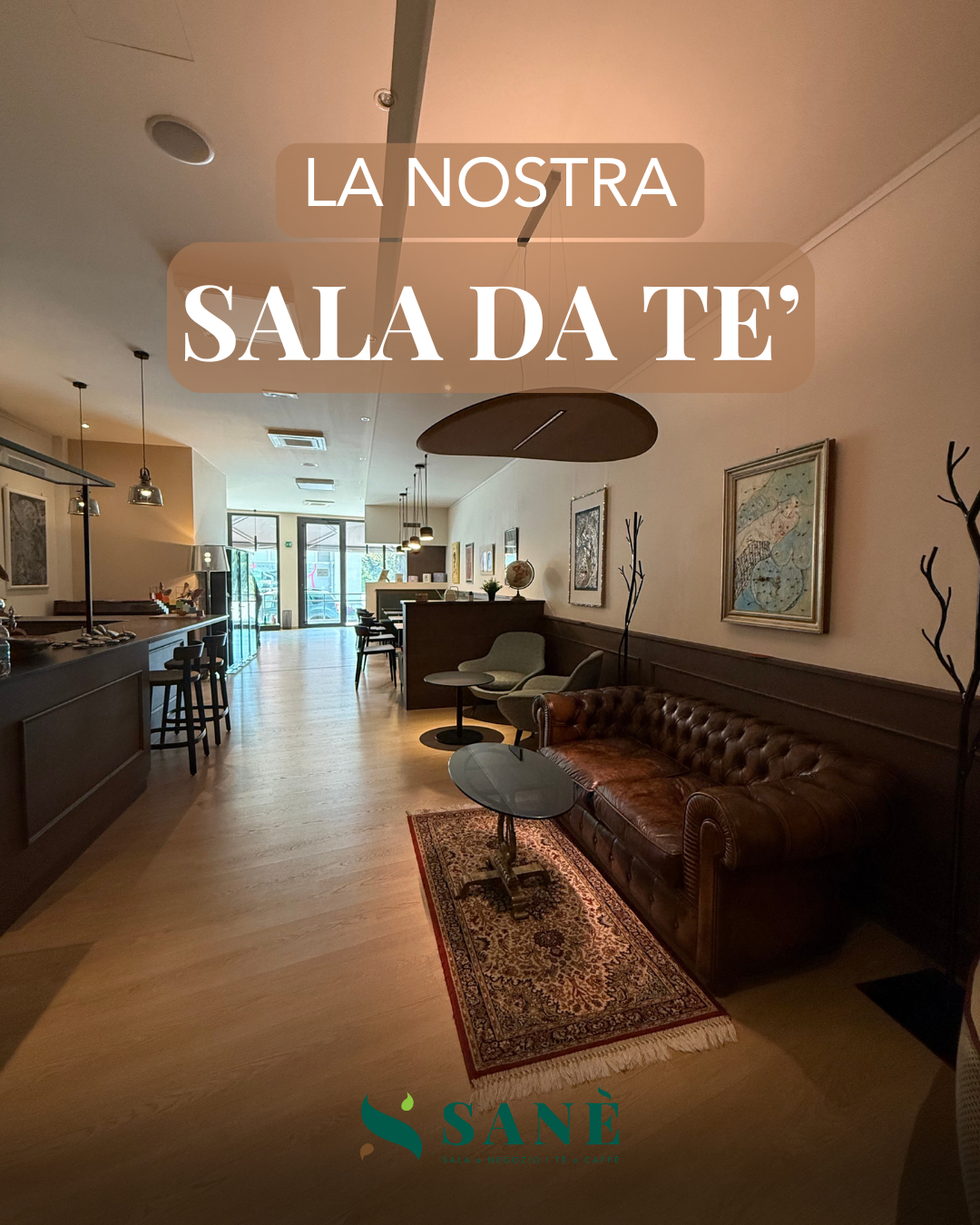 Casa Delle Bambole Da Collezione