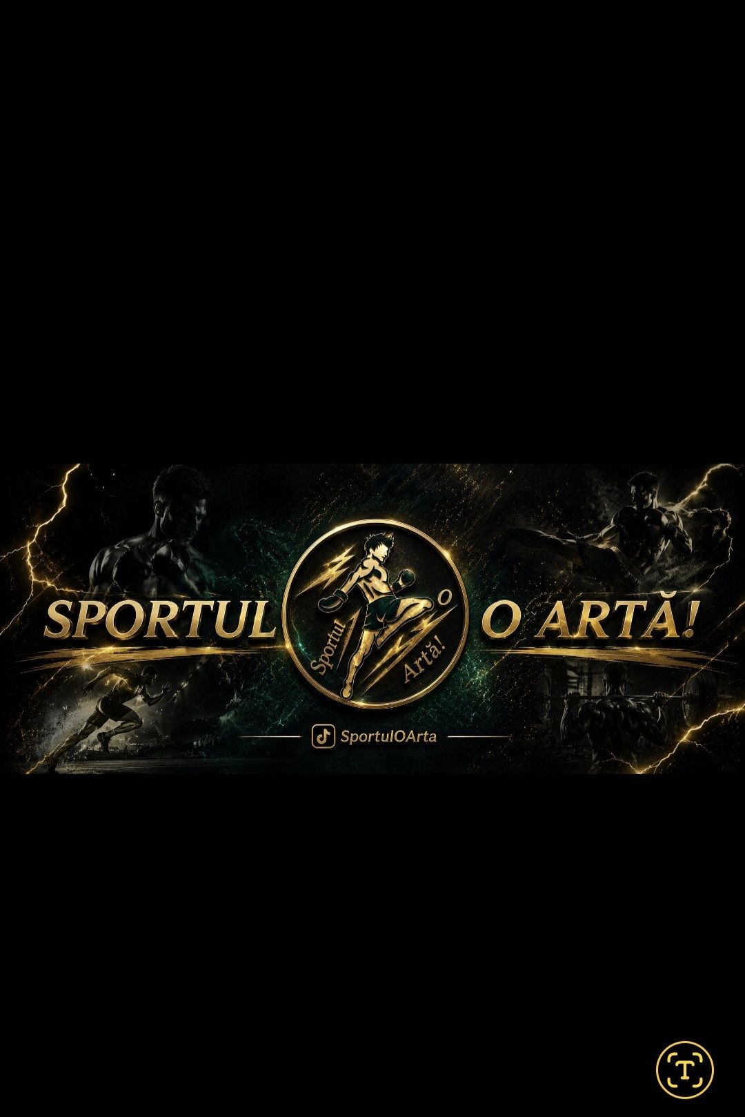 Sportul o Artă