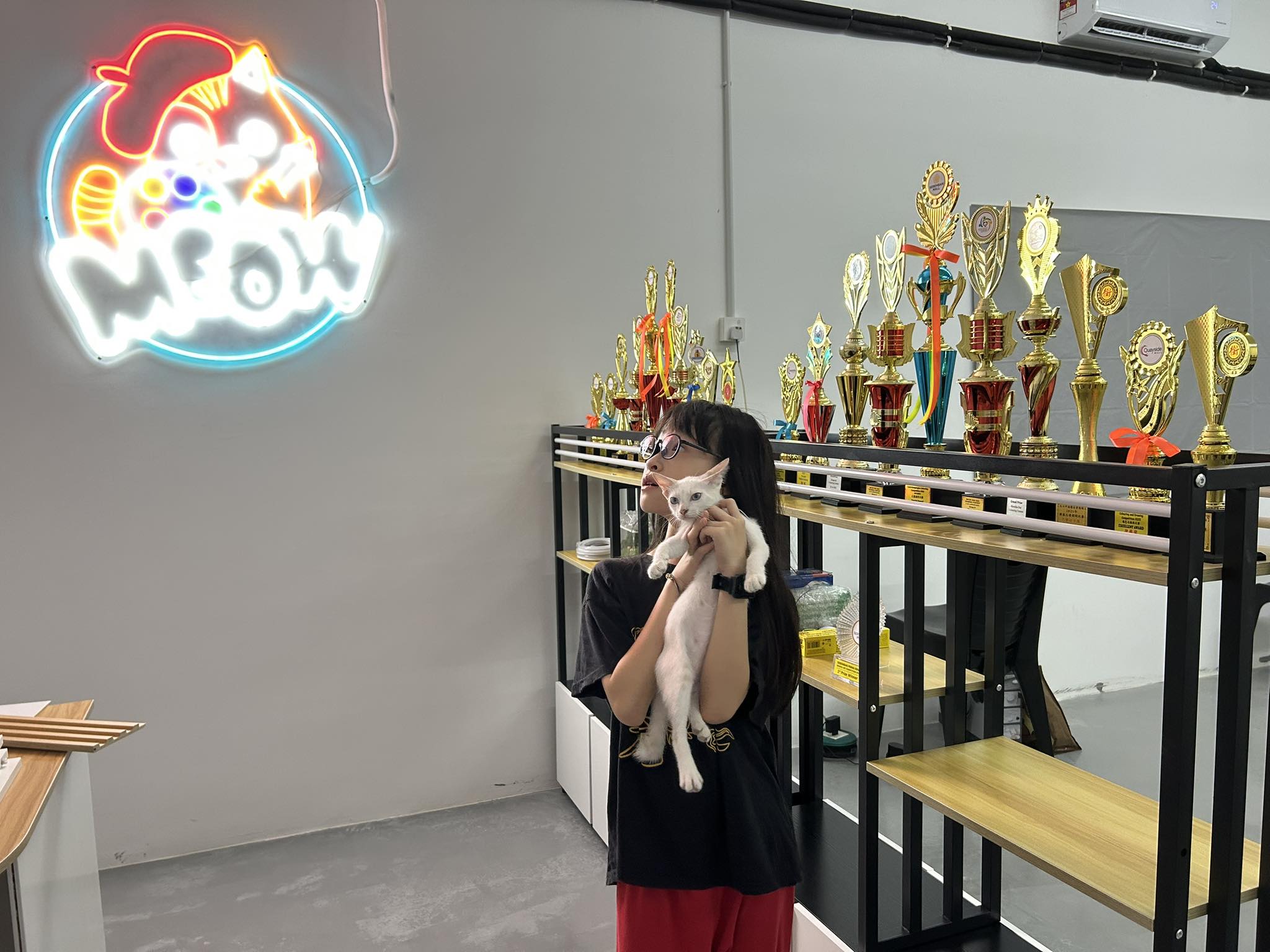 Meow Art & Craft Studio | Bemban