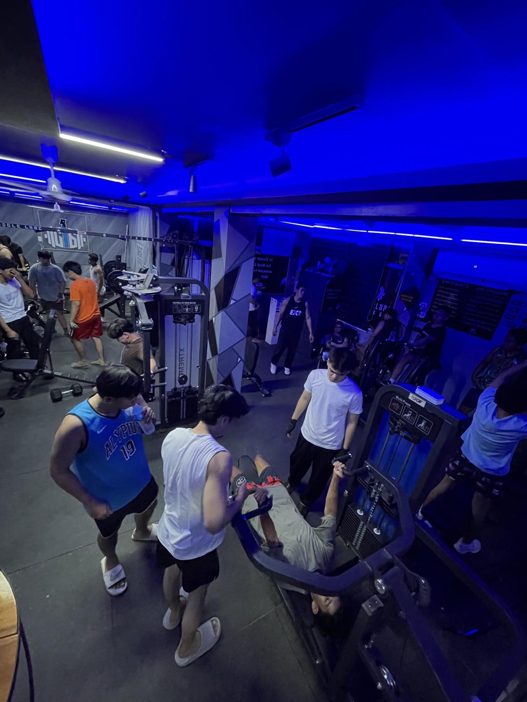 C16 Muscle Labz Fitness | San Antonio Primero