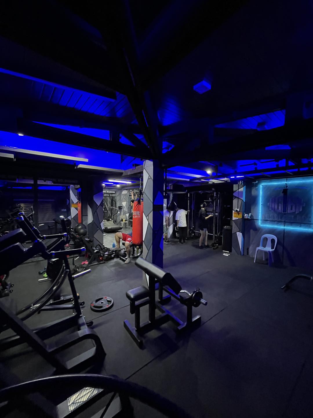 C16 Muscle Labz Fitness | San Antonio Primero