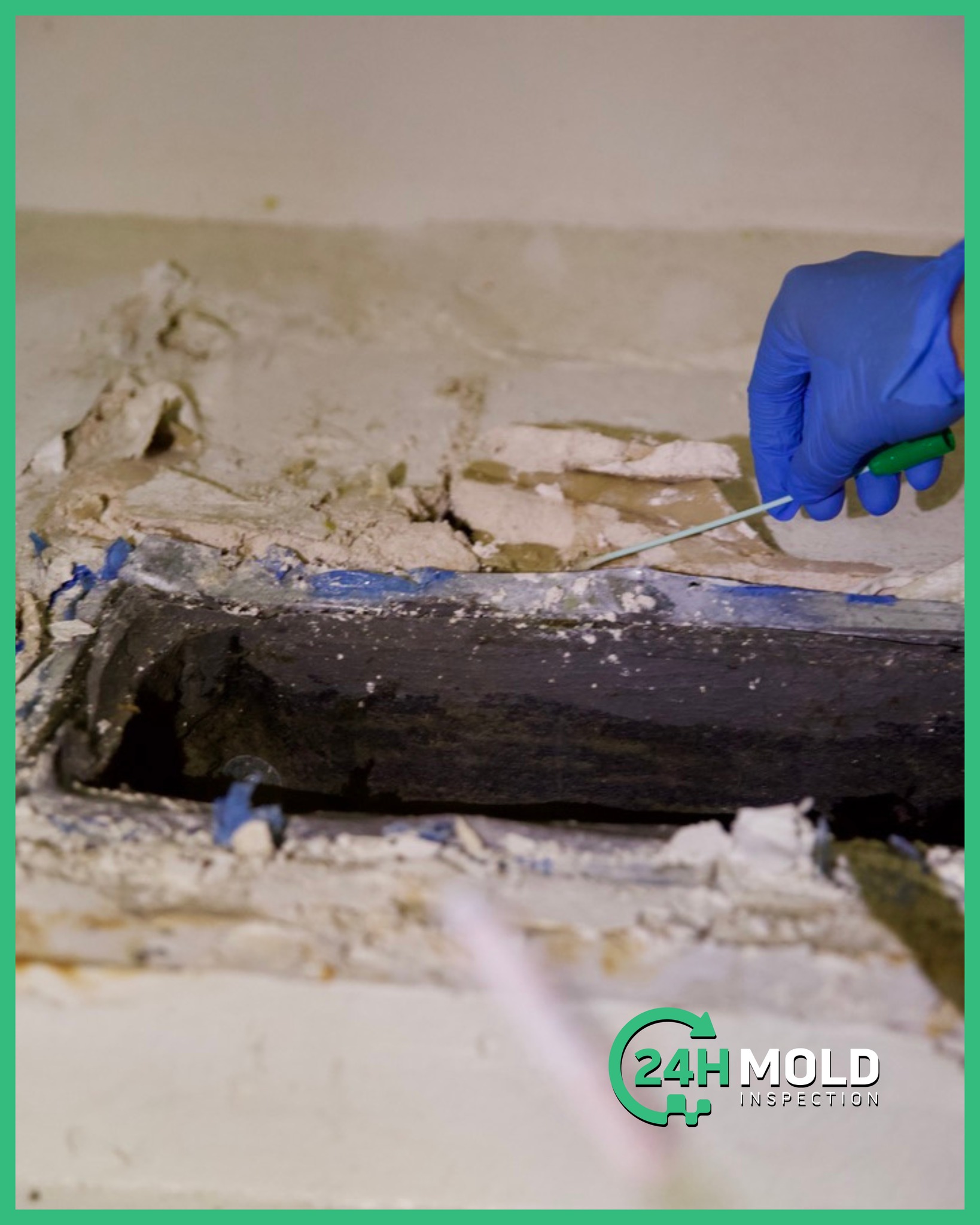 24H - 🧪 Mold hides where you least expect it. This is how we find it ...