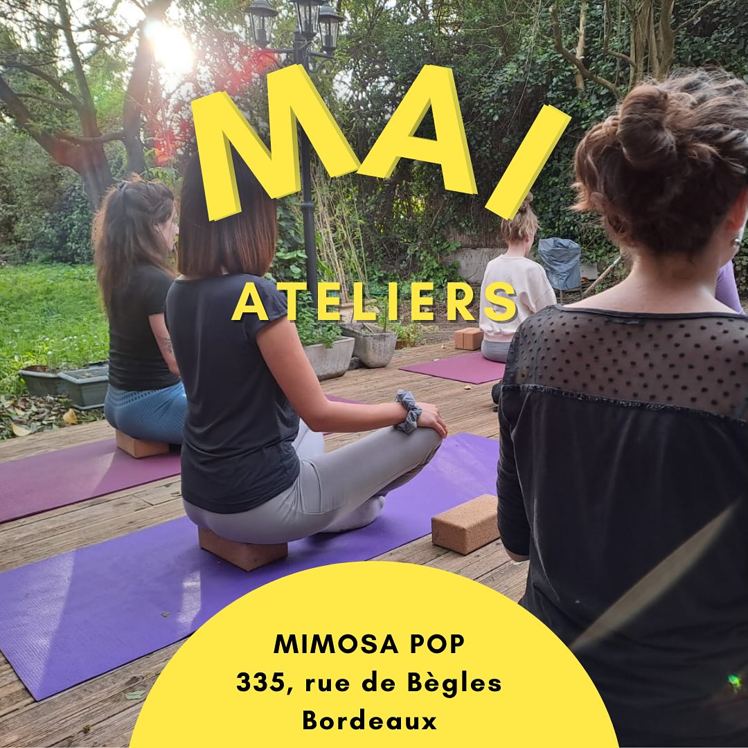 Mimosa pop - Les ateliers du mois de mai chez... | Facebook