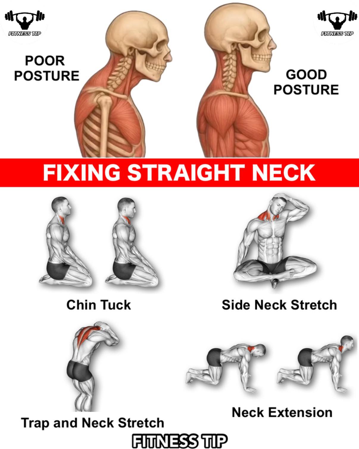 Fitness - Do these exercises every morning | Facebook