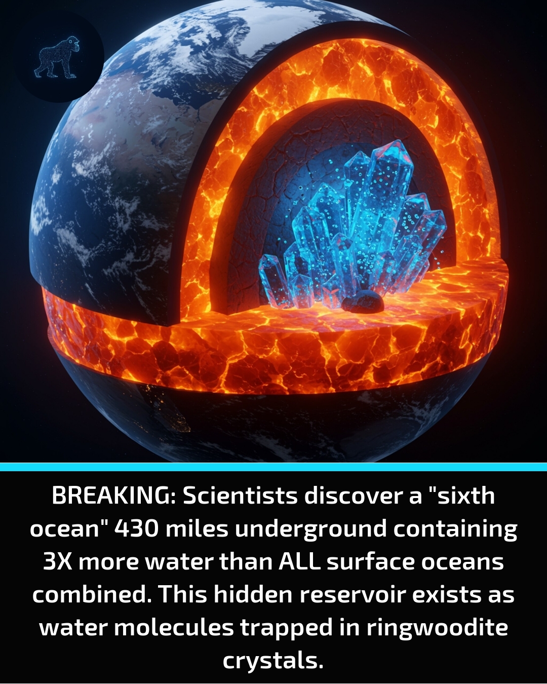 Evolved - Scientists just found something mind-blowing 430 miles ...