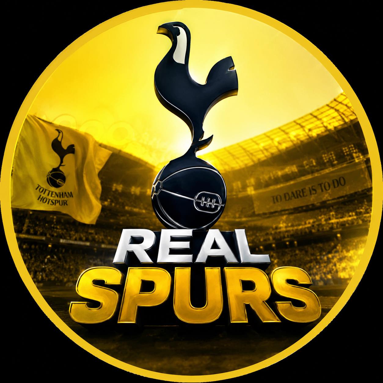 Tottenham Hotspur Fans Only | 💔Is this responsibility not overly ...