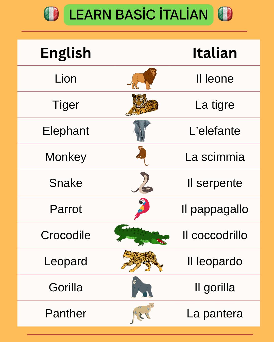 Learn - Italian for beginners 🇮🇹 . . . . . . . . . #learnitalian # ...