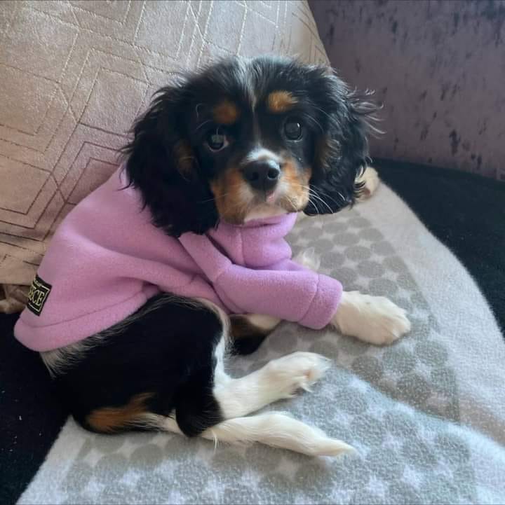 Name suggestions for a pet that fits her personality 
