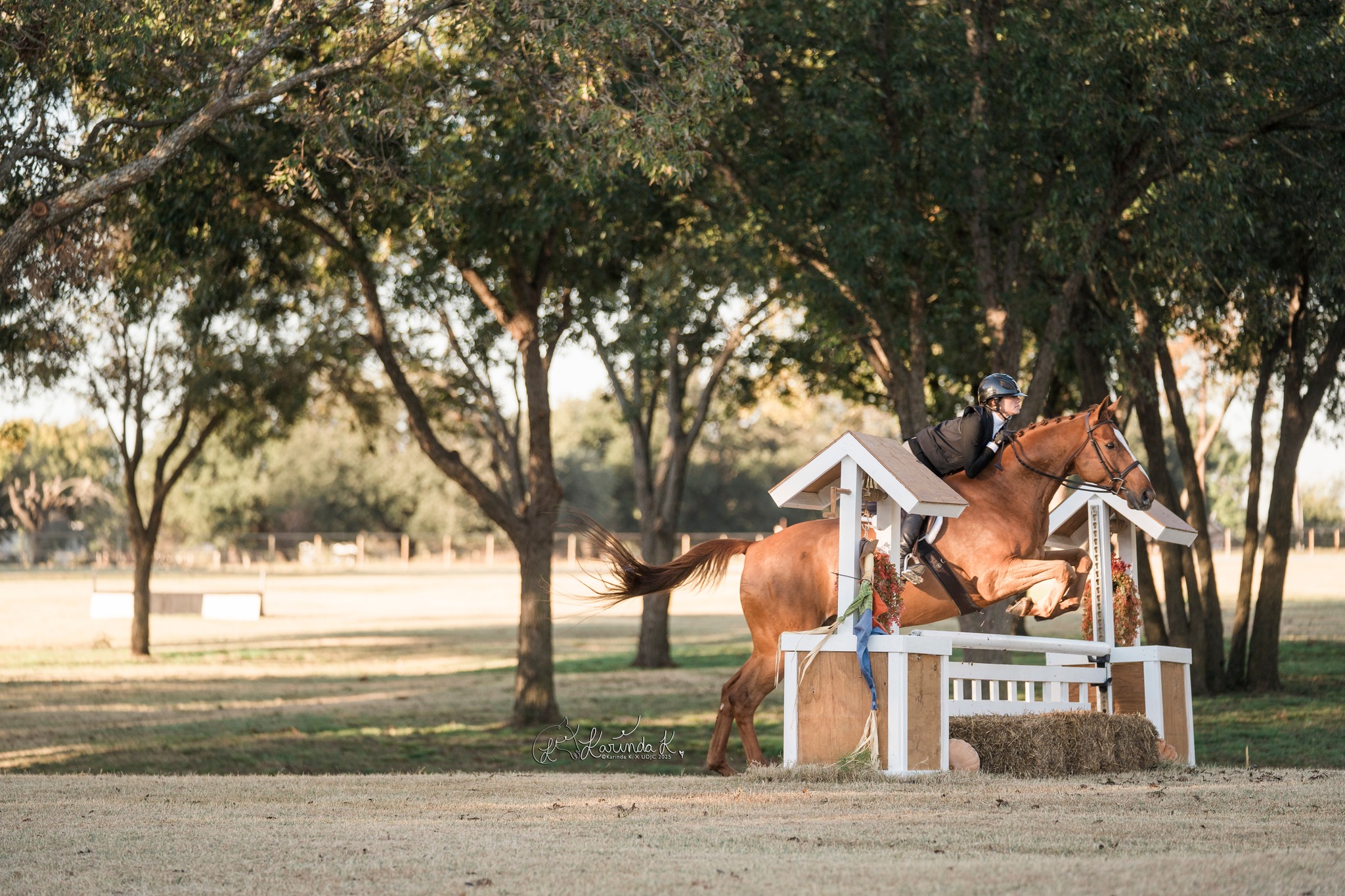Royal Oaks at Fieldstone... - Royal Oaks at Fieldstone Park