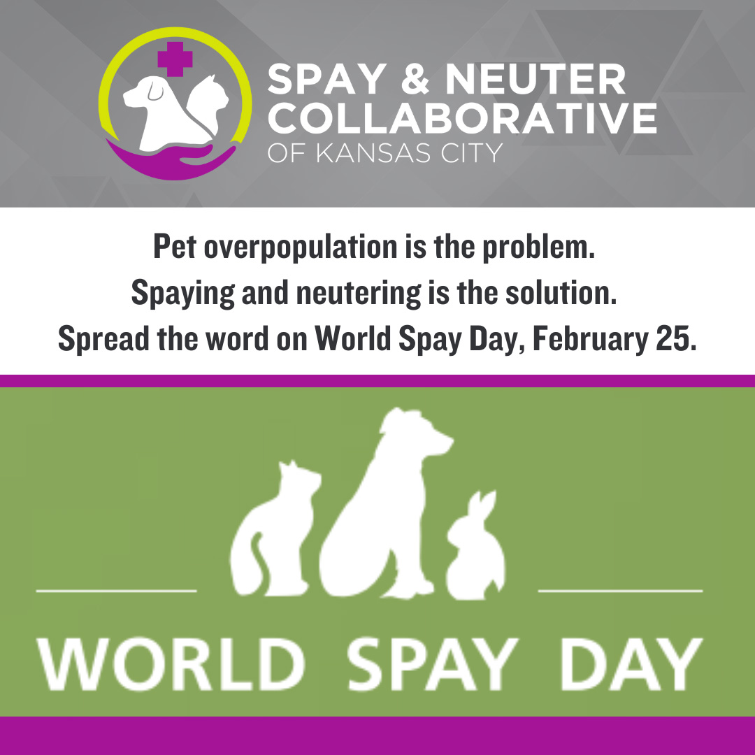 Spay & Neuter Collaborative of Kansas City