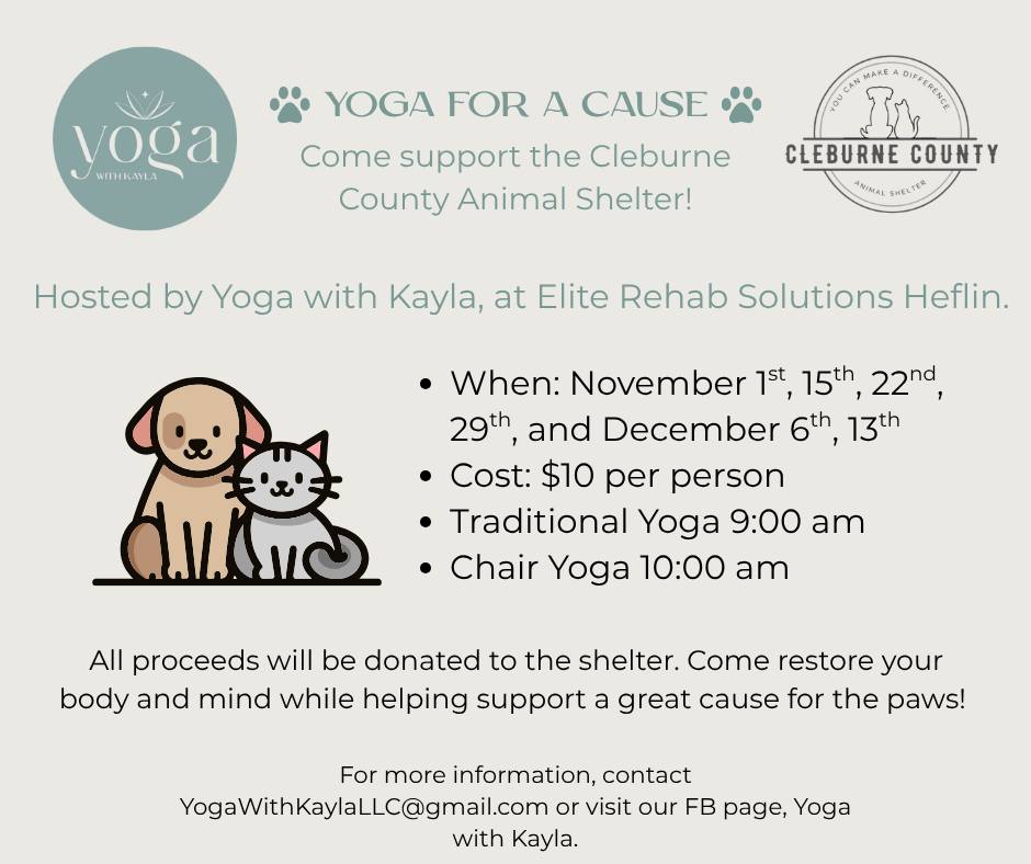🐾🧘‍♀️ Community Spotlight! 🧘‍♀️🐾 We... - Heflin Main Street | Facebook