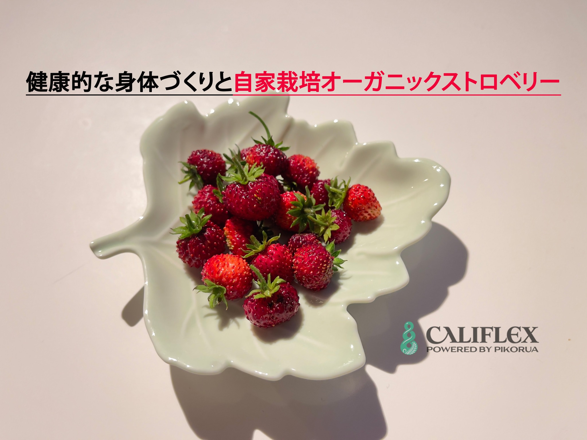 Califlex