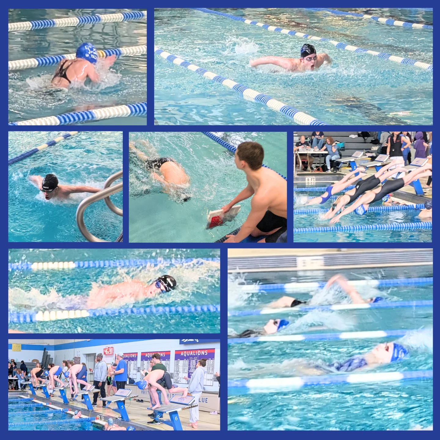 SCAY Aqualions Swim Team | State College PA
