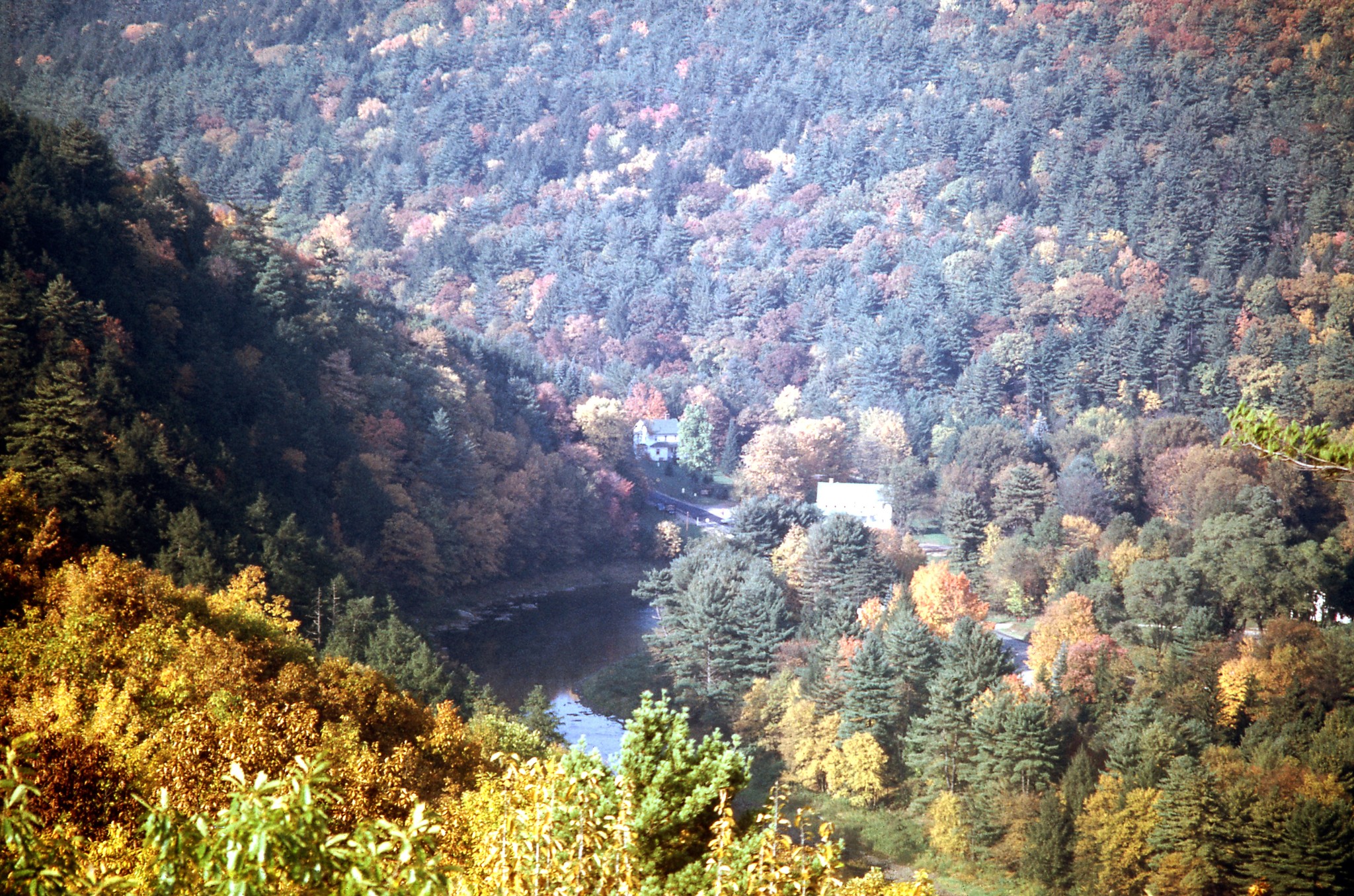 Cook Forest State Park | Cooksburg PA