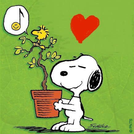 Woodstock's name origin and friendship with Snoopy