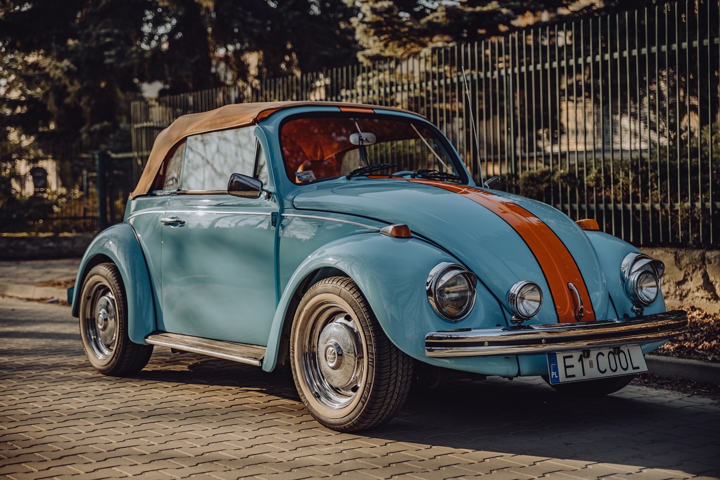 Oldtimers Collection | Zgierz