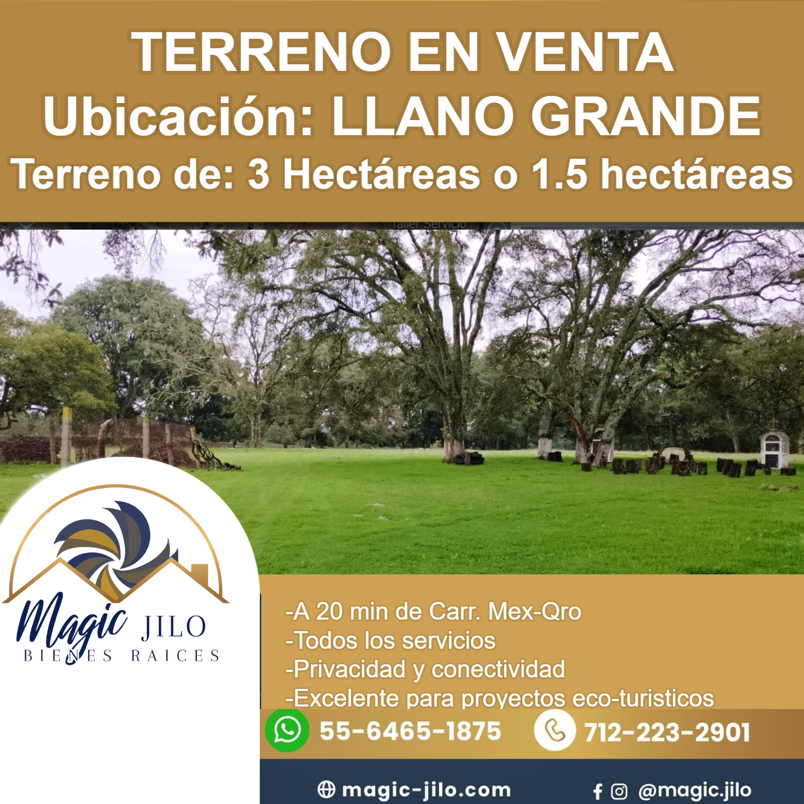 Magic Jilo | Jilotepec
