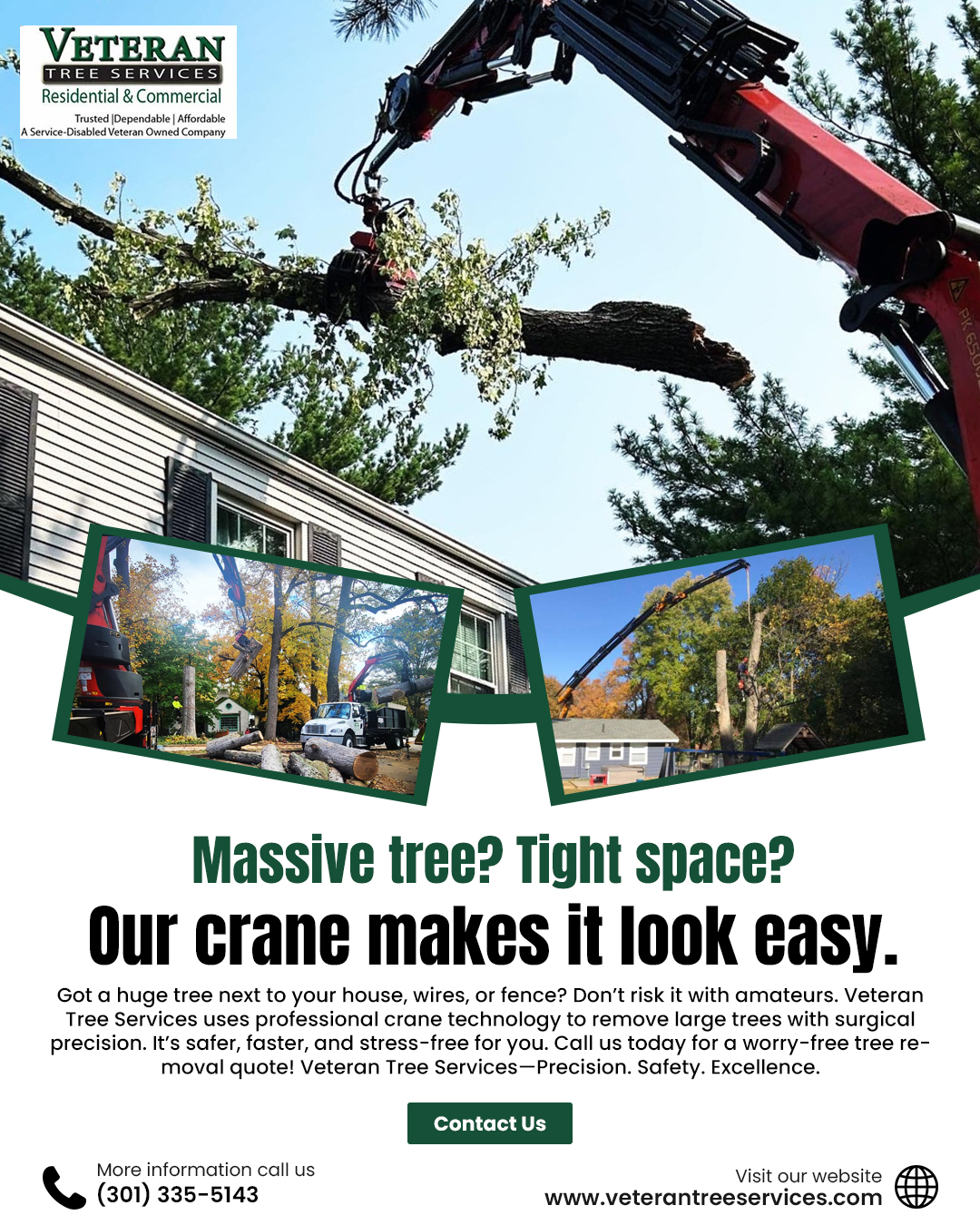 Veteran - 🌳 Massive Tree? Tight Space? We’ve Got the Crane for That ...