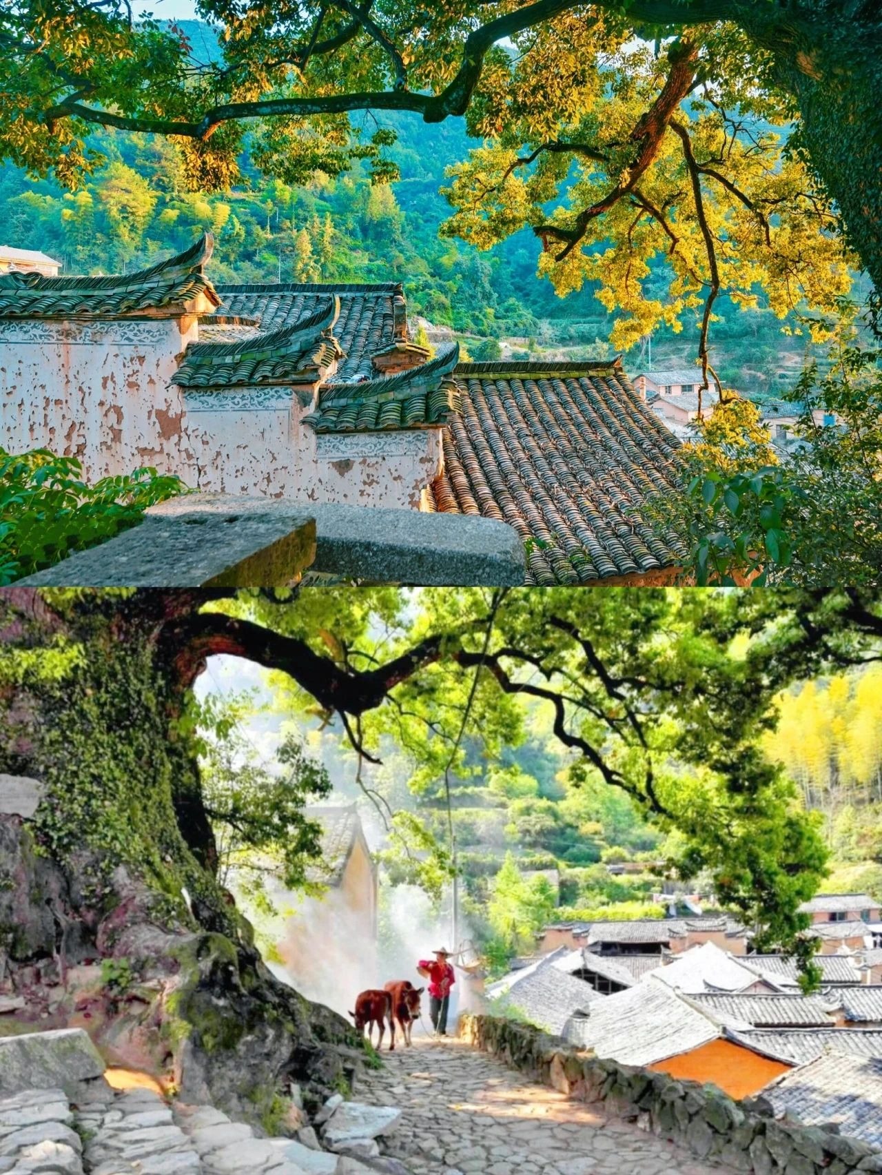 Z Museum in Zhejiang Province, China, nestled in mountains