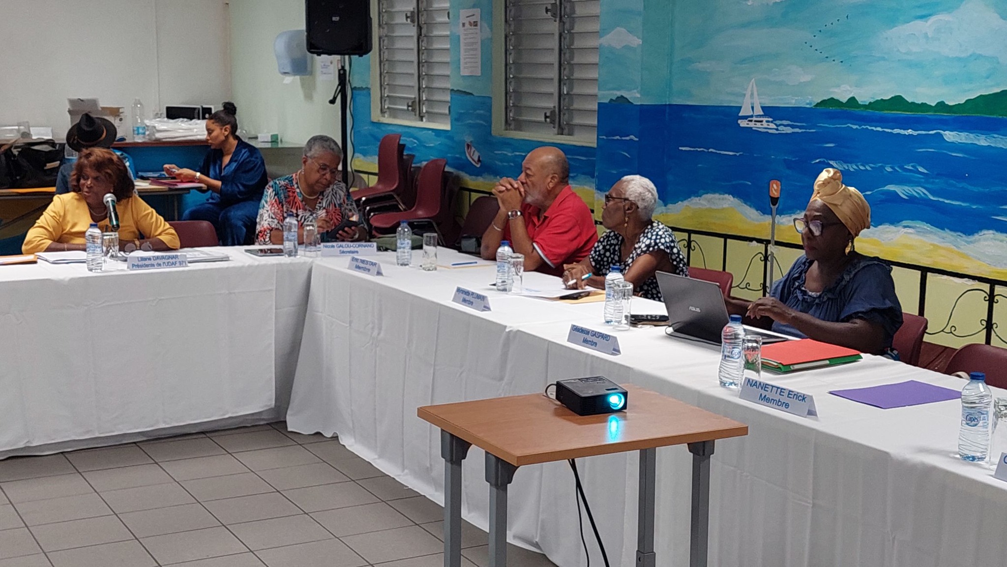 UDAF Guadeloupe 971