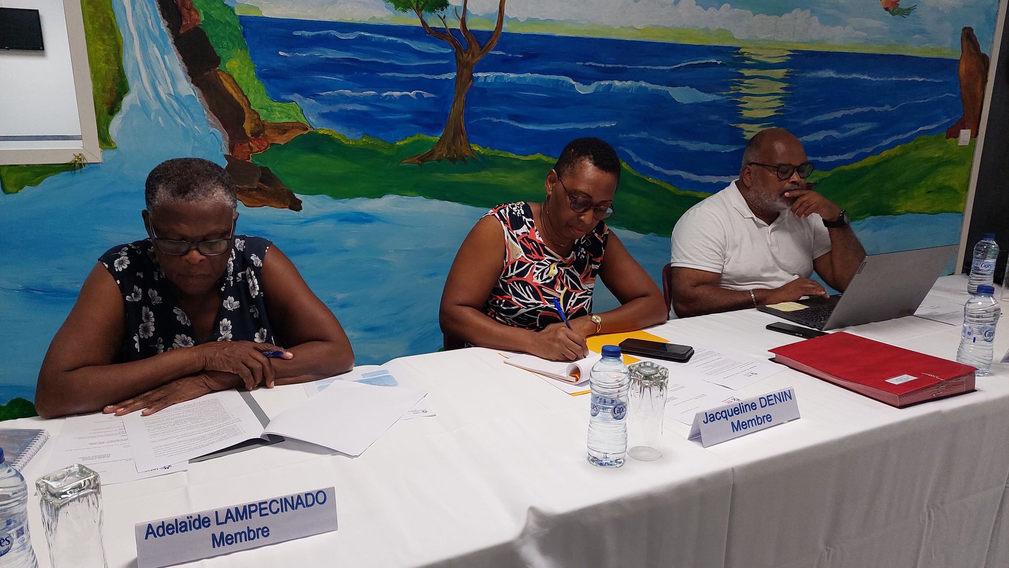 UDAF Guadeloupe 971